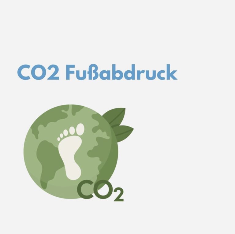 Read more about the article CO2 Fußabdruck