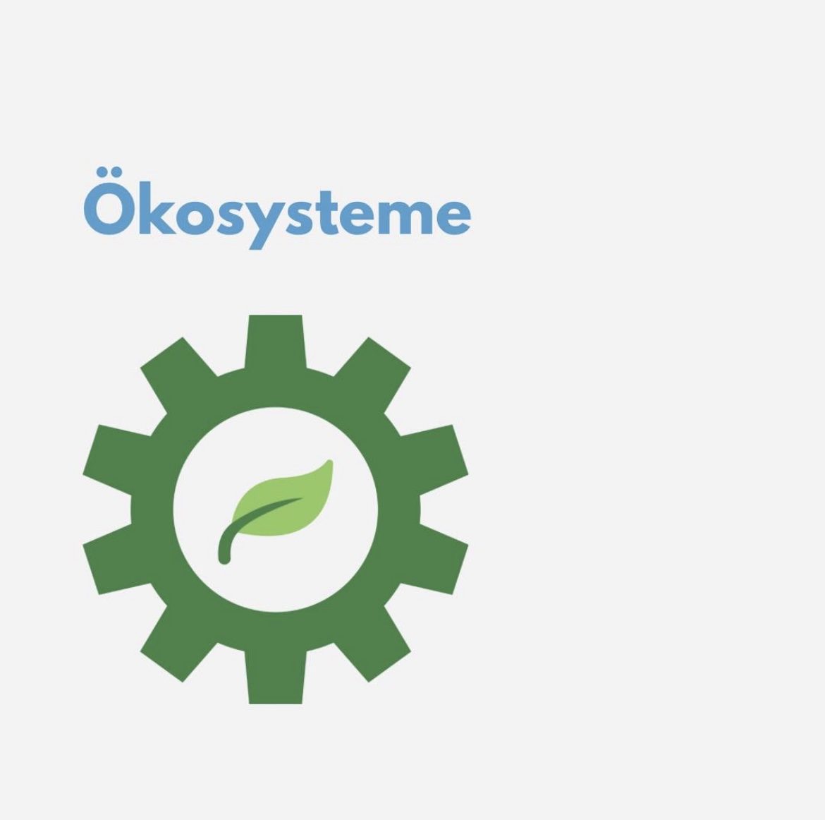 Read more about the article Ökosysteme