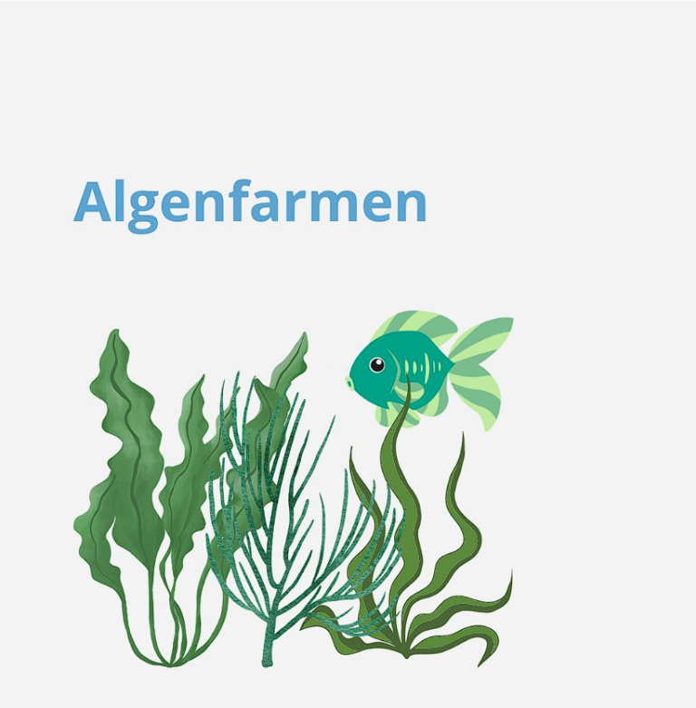 Read more about the article Algenfarmen