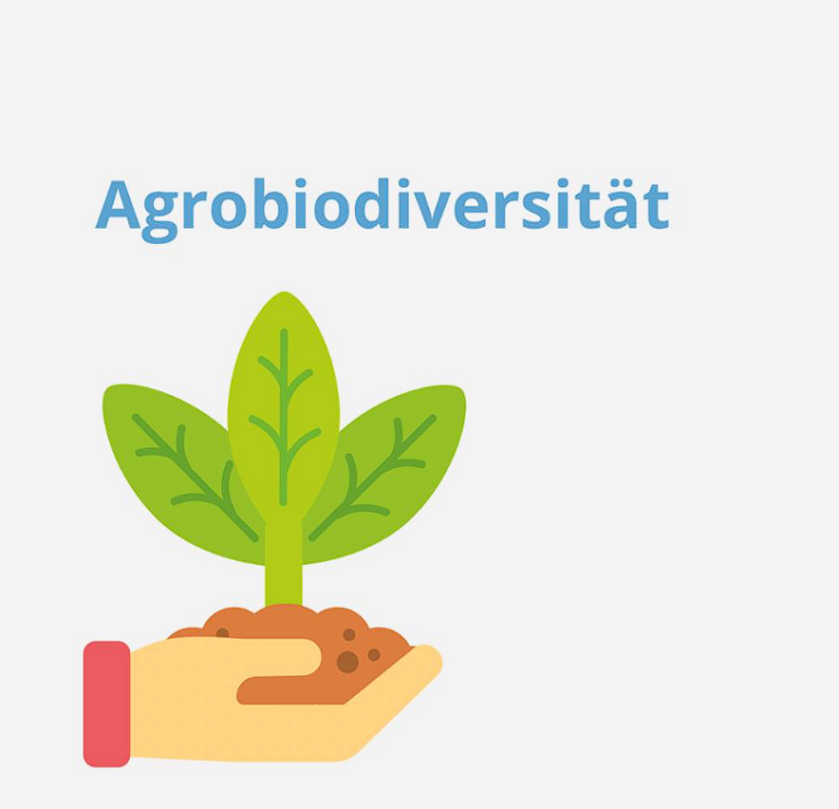 Read more about the article Agrobiodiversität