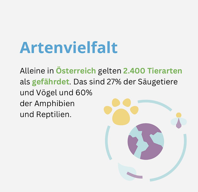 You are currently viewing Artenvielfalt