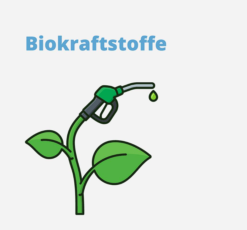 You are currently viewing Biokraftstoffe
