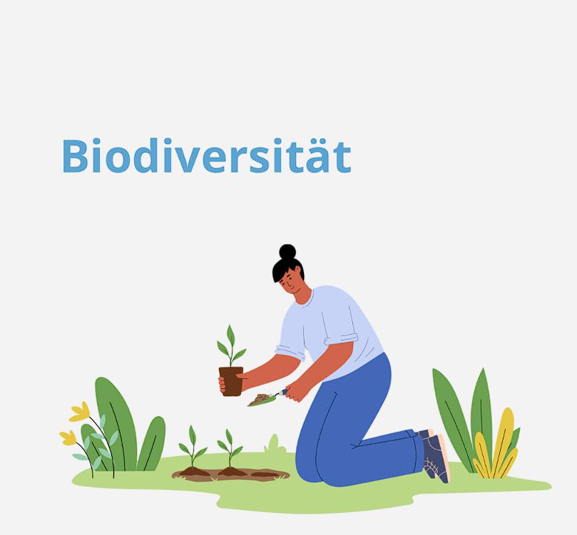 Read more about the article Biodiversität