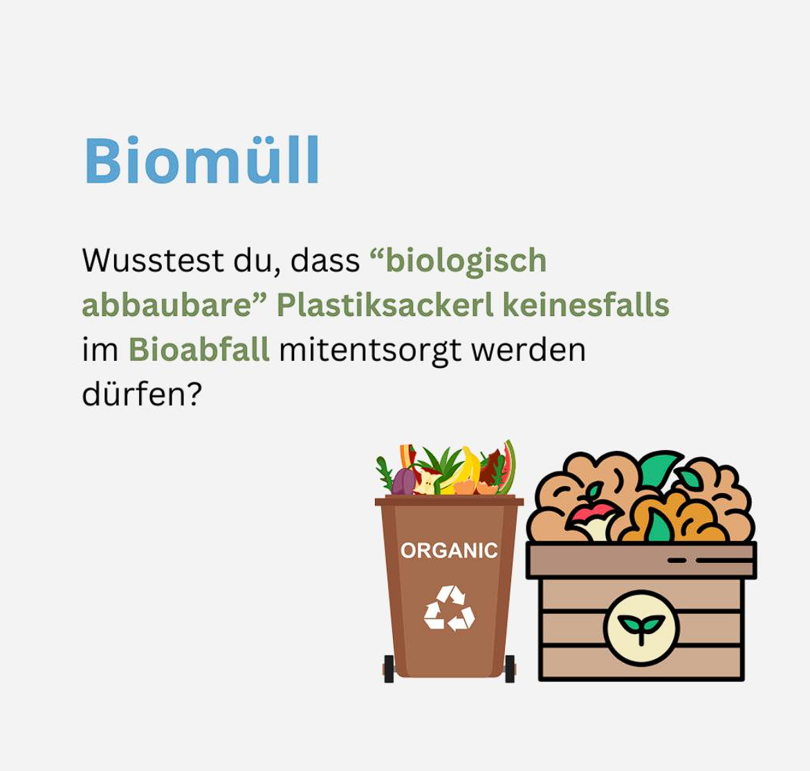 Read more about the article Biomüll