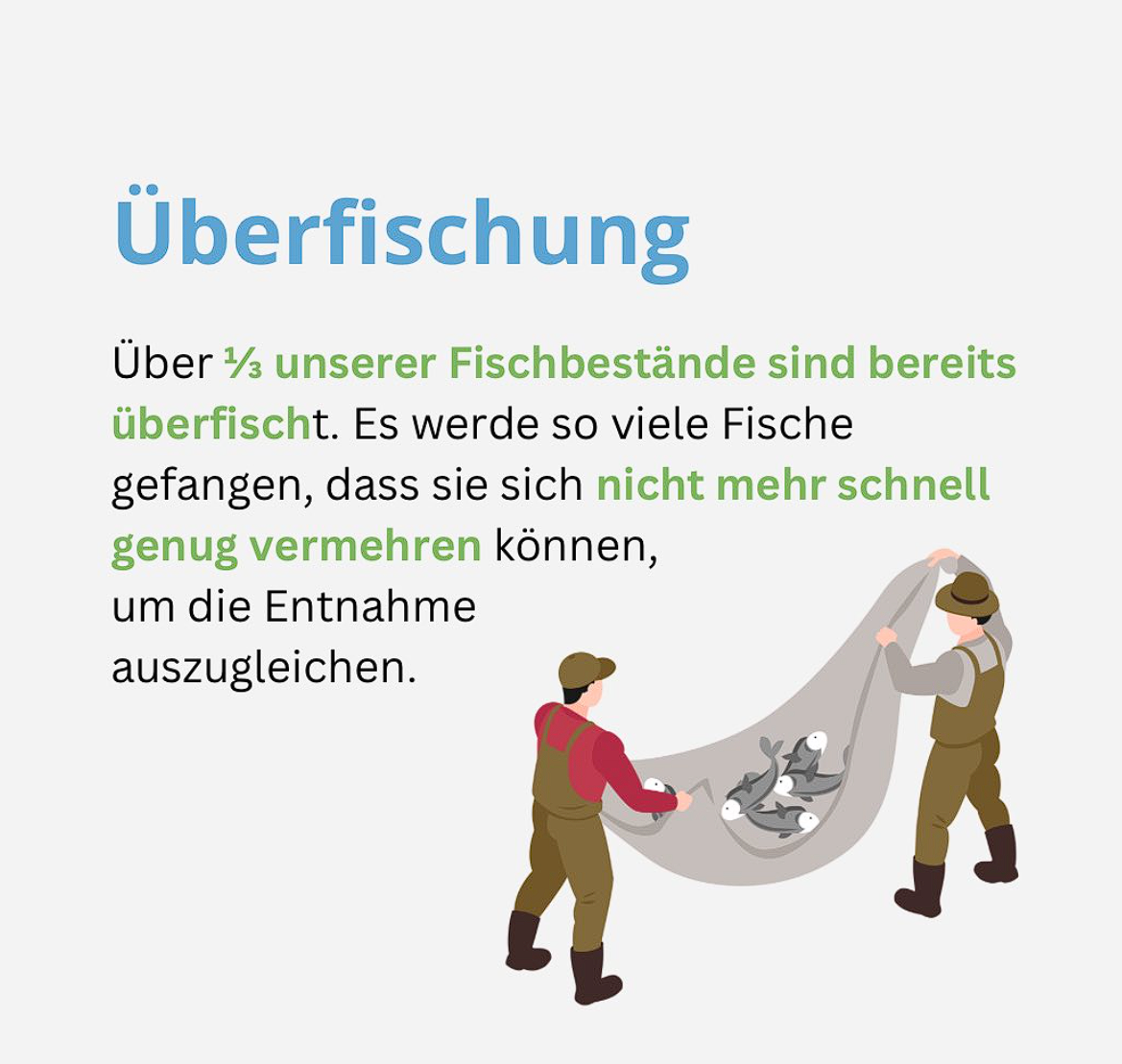 Read more about the article Überfischung