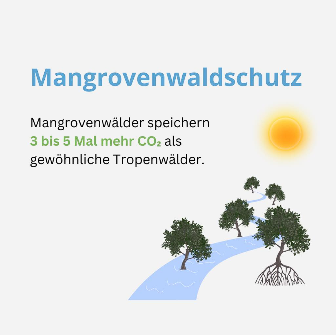 Read more about the article Mangrovenwald-Schutz
