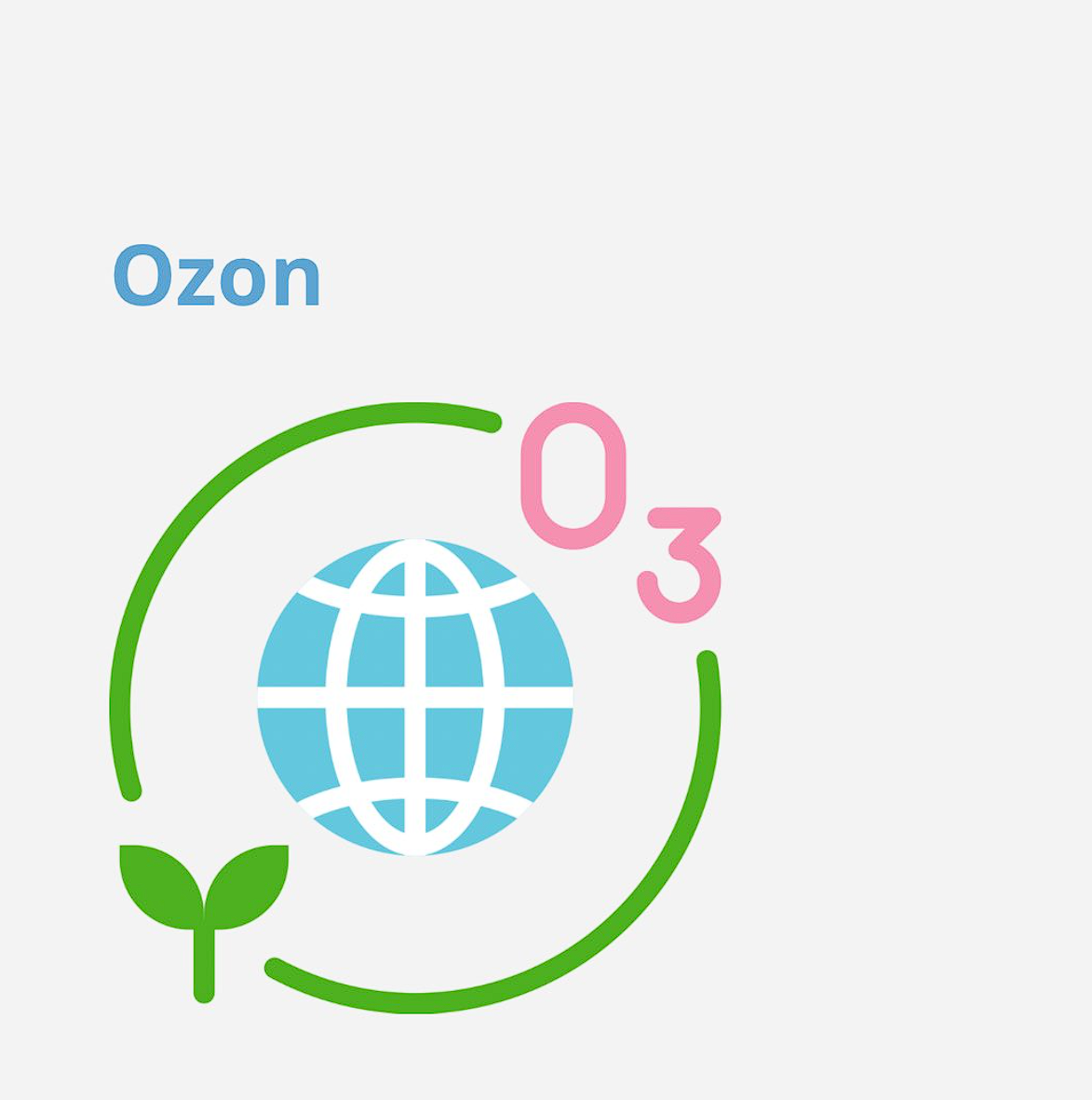 Read more about the article Ozon