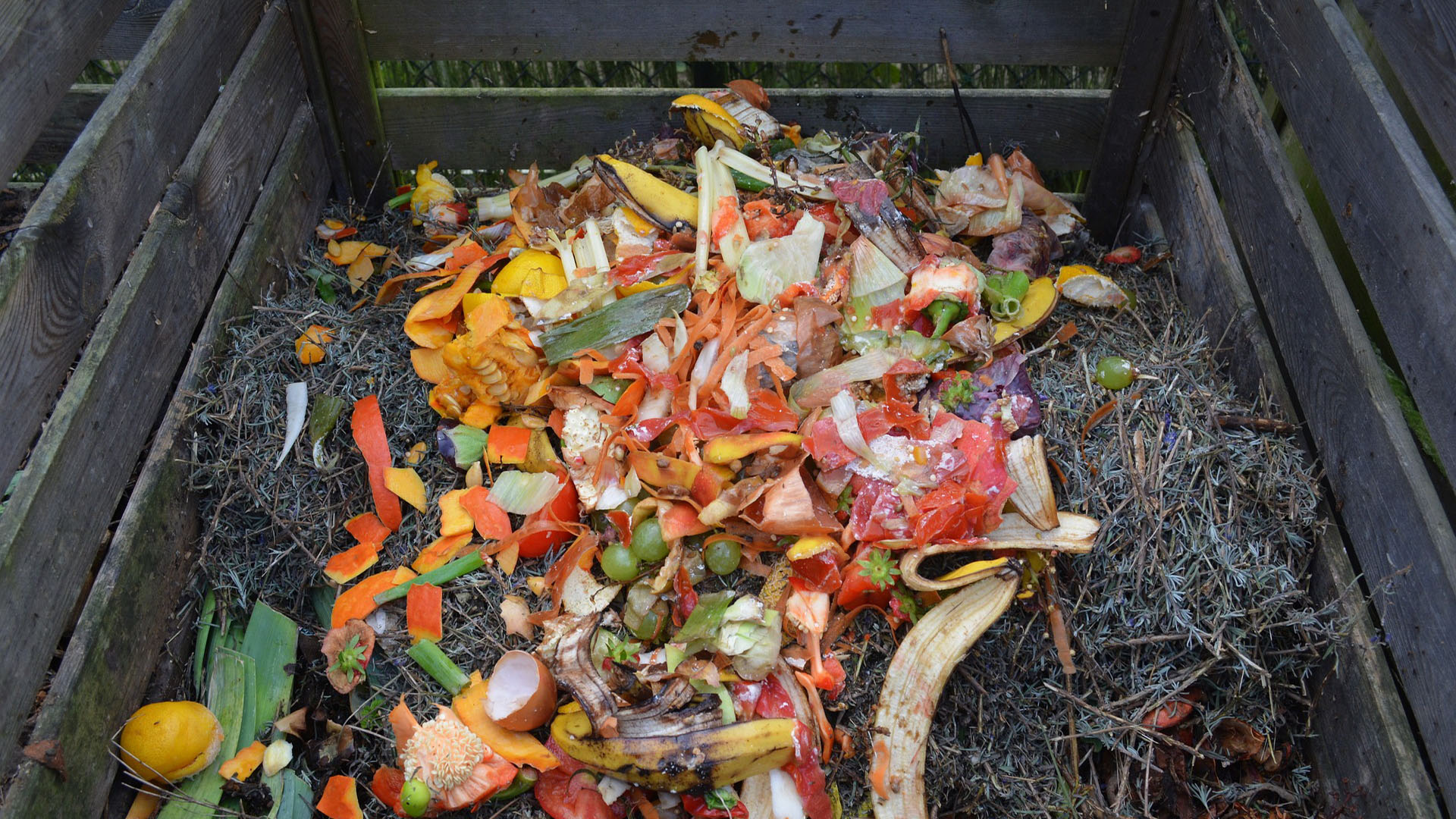 Eine Menge entsorgtes Obst und Gemüse als Biomüll auf einem Kompost.